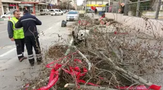 Lodosun Şiddeti Gün Ağarınca Ortaya Çıktı