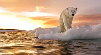 Okyanuslar, Araştırmacıların Beklentilerinden Yüzde 40 Daha Hızlı Isınıyor