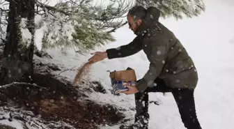 Başkan Akgedik Kuşlara Yem Bıraktı