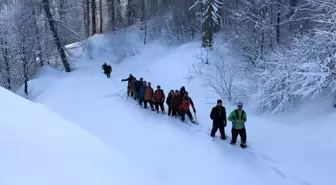 En Çok Domaniç Dağlarını Tercih Ediyorlar