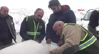 Şırnak'ta Yaban Hayvanları İçin Doğaya Yem Bırakıldı