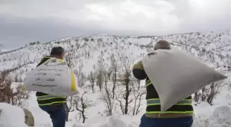 Şırnak'ta Yaban Hayvanları İçin Doğaya Yem Bırakıldı