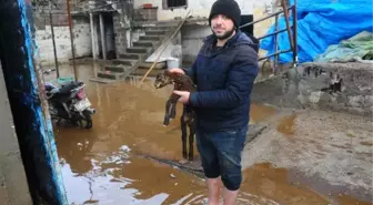 Adana'da Evleri Su Bastı, Araçlar Yolda Kaldı (5)