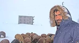 Karlıova'da 2 Metreyi Bulan Kar, Hayvancılığı Zorlaştırıyor