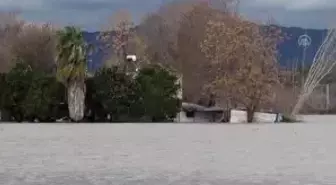 Su Altında Kalan Evini İneğinden Dolayı Terk Etmek İstemedi