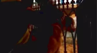 Kafası Demir Parmaklıklara Sıkışan Köpeği İtfaiye Ekipleri Kurtardı