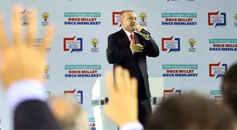 Cumhurbaşkanı Erdoğan, AK Parti'nin Samsun Adaylarını Açıkladı! İşte Tam Liste