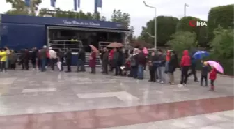 Hamsi İçin Uzun Kuyruklar Oluşturup Saatlerce Beklediler