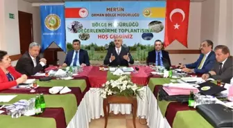 Orman Bölge Müdürlüğü, 2018'de Yüzde 100'ün Üzerinde Gerçekleşme Sağladı