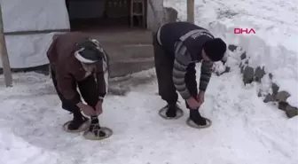 Hakkari Yazın Biçtikleri Otları Kışın Kızakla Köye Taşıyorlar