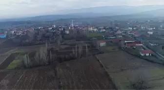 Samsun'un Vezirköprü İlçesi Türkiye'nin Kenevir Üretim Merkezi Olacak