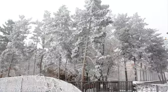 Doğu Anadolu'da Soğuk Hava