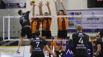 Voleybol: Efeler Ligi