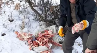 Bahadın Belediyesi'nden Yaban Hayatına Destek