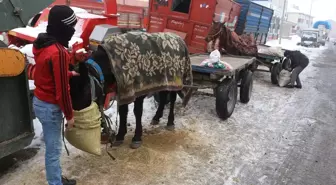 Atlarını Soğuktan Battaniye ile Koruyorlar