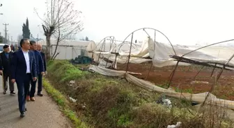 Başkan Uysal, Kent Merkezinde Hortumun Yıktığı Seralarda İncelemelerde Bulundu