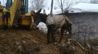 Afad Ekipleri Mahsur Kalan Eşeği Kurtardı