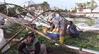 Hortumun Vurduğu Kumluca'nın Ziraat Odası Başkanından Ürünlerde Fiyat Artışı Çıkışı