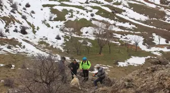 Kayalıklarda Mahsur Kalan Köpek Kurtarıldı