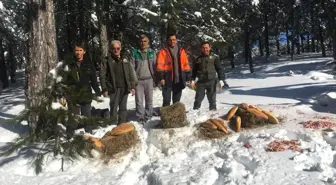 Kütahya'da Yaban Hayvanlarına Yem Desteği