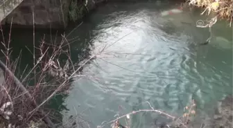 Hastaneye Giderken Kaza Yapan Sürücü Öldü - Bartın