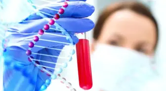 İsrailli Araştırmacılar: 1 Yıl İçinde Kanseri Yok Edeceğiz