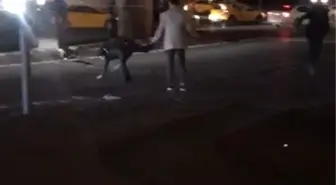 İstanbul'da 'Fight Club' Filmini Aratmayan Kavga Kamerada