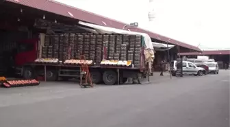 Rusya'ya Domates İhracatı Arttı