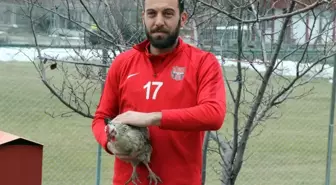 Onun En Büyük Tutkusu Tavuk ve Futbol