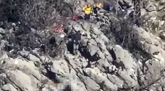 Elazığ'da Av Sırasında Kazara Kendini Vurduğu İddiası