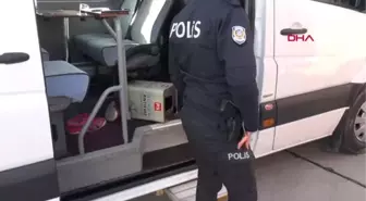 İstanbul- Minibüste Ölü Bulundu