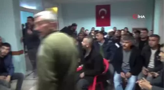 Otomobil Fiyatına Güvercin.