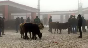 Doğu Anadolu'da 58 Köy ve Mahalle Yolu Kapalı