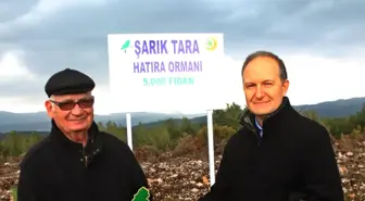 Şarık Tara Fidanlarda Yaşayacak!