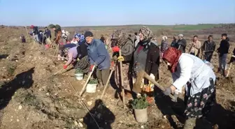 Edirne'den Kısa Kısa