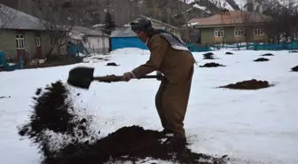 Köylülerin Zorlu Kış Mesaisi