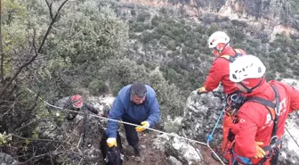 Dağ Yamacında Mahsur Kalan Keçiler Kurtarıldı