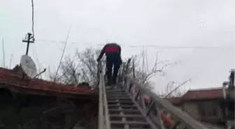Ağaçta Mahsur Kalan Kediyi İtfaiye Kurtardı