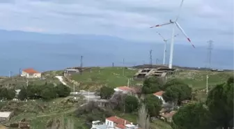 Karaburun'da Kurulan Res'ler, Kıl Keçilerinin Otlak Alanlarını Bitirdi