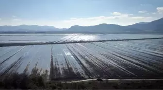 Kestel Ovası'nda 30 Bin Dekar Tarım Arazisi Su Altında Kaldı