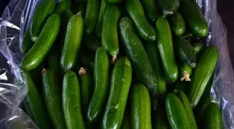 Fiyatlar Tanzimde Düşüyor, Halde Artıyor