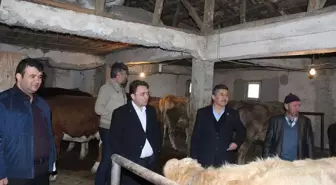 Kaymakam Metin Yılmaz'dan Proje Denetimi
