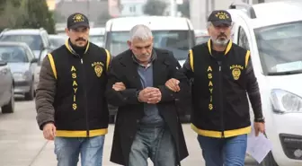 Organize İşler 2 Sazan Sarmalı' Filmi Adana'da Gerçek Oldu