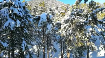 Kaş'ın Yüksek Kesimlerinde Kar Etkili Oldu, Mahalle Yolları Kapandı