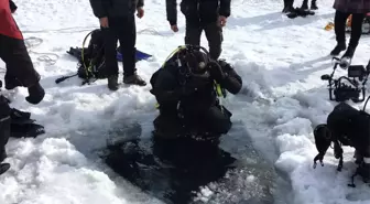 Buzu Kesip Çıldır Gölü'ne Daldılar