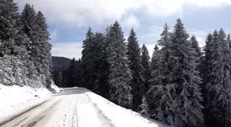 Giresun'un Yaylaları 4 Mevsim Yöre İnsanını Kendisine Çekiyor