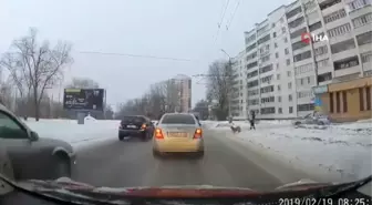 Köpeğin Yardımına Polis Koştu