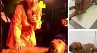 Leman Sam'ın Konserinde Sahneye Fırlayan Köpeği Zehirlediler