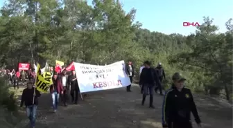 Antalya Kleopatra Koyu'nda Eylem