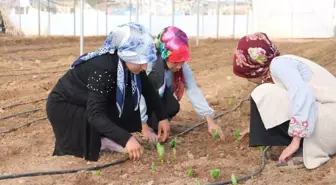 Şanlıurfa Hollanda'ya Meydan Okuyacak